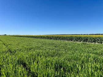 Terlings Newell Highway Moree NSW 2400 - Image 3