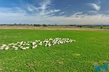 65 Baudinetts Road Hillside VIC 3875 - Image 3