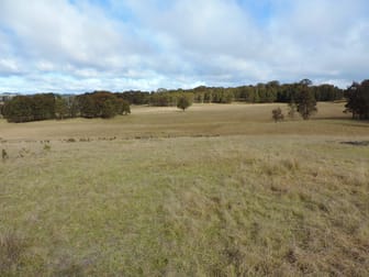154 Scabben Flat Road Taralga NSW 2580 - Image 3