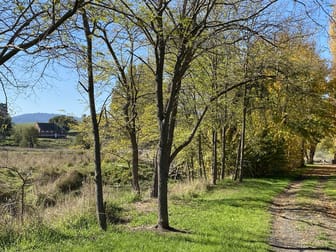 454 Sandy Creek Road Sandy Creek VIC 3695 - Image 3
