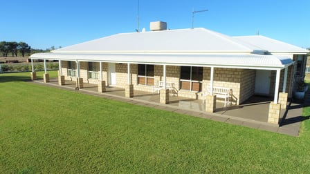 210 Bungeworgorai Lane Roma QLD 4455 - Image 1