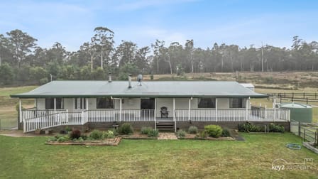 180 Silver Wattle Drive Reedy Marsh TAS 7304 - Image 1