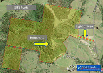 13150 Princes Highway Brogo NSW 2550 - Image 3