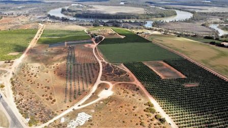 775 Murtho Road Paringa SA 5340 - Image 3
