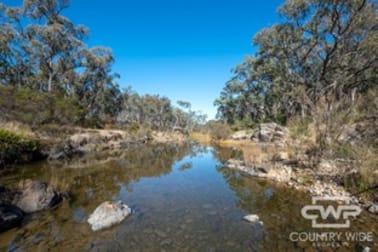 2 Billabong Waters - Strathbogie Road Wellingrove NSW 2370 - Image 2