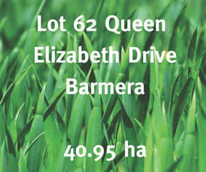 62/ Queen Elizabeth Drive Barmera SA 5345 - Image 2