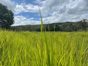 289 Pernas Road Kuttabul QLD 4741 - Image 1