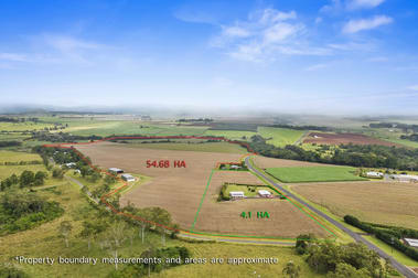 4749 Gillies Range Road Yungaburra QLD 4884 - Image 3
