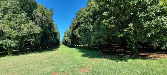 Dunoon NSW 2480 - Image 1
