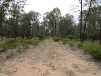 Click to view all images 3 Crosbies Road Tara QLD 4421 - Image 3