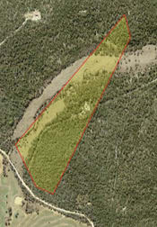 Lot/8 Ottley Road Coolatai NSW 2402 - Image 1