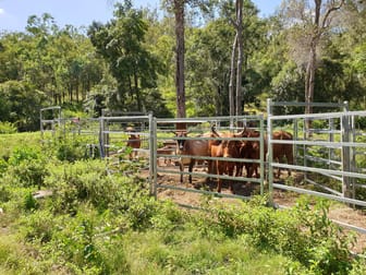 15 Cedarvale Road Boyne Valley QLD 4680 - Image 1