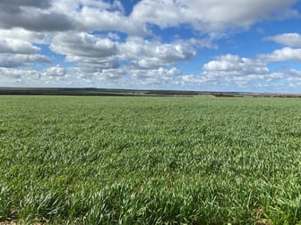 "Amaroo" East Kulin Kulin WA 6365 - Image 1