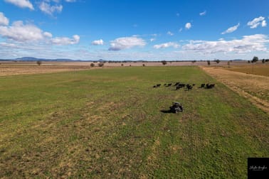 615 Tudgey Road Gunnedah NSW 2380 - Image 3