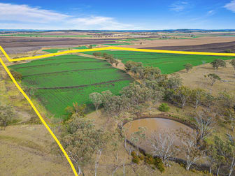 "East Lynne" Upper Spring Creek Road Spring Creek QLD 4361 - Image 3