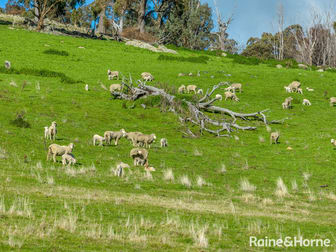2306 Bigga Road Bigga NSW 2583 - Image 3