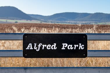 "Alfred Park" 357 Pilton Valley Road Pilton QLD 4361 - Image 2