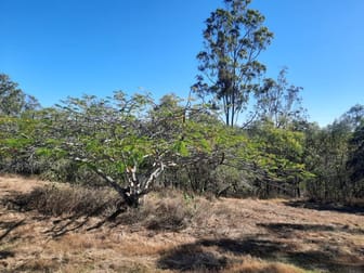 175 Tobins Shortcut Road Horse Camp QLD 4671 - Image 3