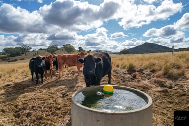 1817 Wandobah Road Gunnedah NSW 2380 - Image 3