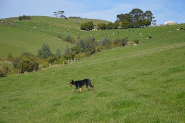 55 Michie Road Krowera VIC 3945 - Image 3