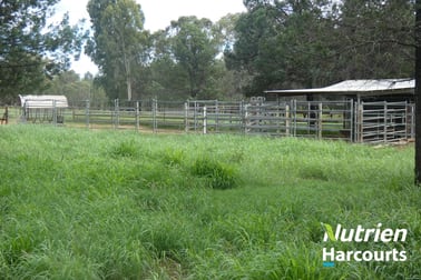 230 Gormleys Road Chinchilla QLD 4413 - Image 3