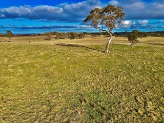 Lot 4 DP1119332 Mount Rae Road Roslyn Crookwell NSW 2583 - Image 2