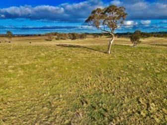 Lot 4 DP1119332 Mount Rae Road Roslyn Crookwell NSW 2583 - Image 2