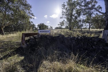 'Wongala' 2698 Mount Lindesay Road Barraba NSW 2347 - Image 1