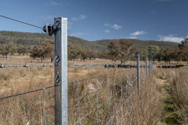 'Wongala' 2698 Mount Lindesay Road Barraba NSW 2347 - Image 3