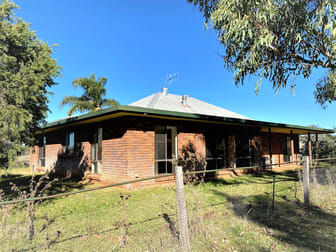 8934 "Red Hill" Newell HIghway Coonabarabran NSW 2357 - Image 2