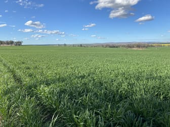 165 Dunollie Road Warialda NSW 2402 - Image 1