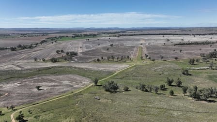 165 Dunollie Road Warialda NSW 2402 - Image 3
