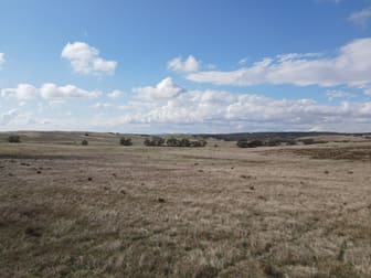 Allotment 2 Price Maurice Road Coomooroo SA 5431 - Image 2