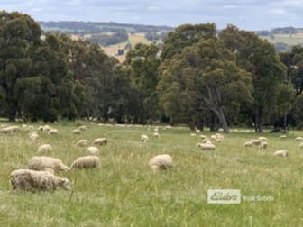 378 Brown Seymour Road Benjinup WA 6255 - Image 3