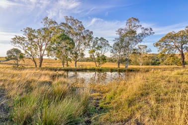 Lot 12 Henneys Road Dungog NSW 2420 - Image 3