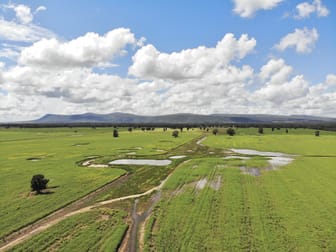 529 Napiers Road Piney Range NSW 2810 - Image 3