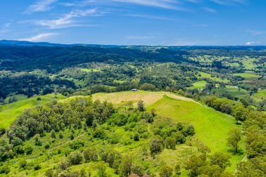 1233 Jiggi Road Georgica NSW 2480 - Image 2