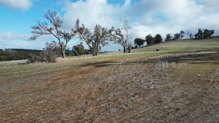 251 Wongerup Road Changerup WA 6394 - Image 3
