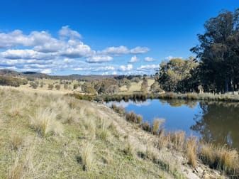 3564 Niangala Road Walcha NSW 2354 - Image 3