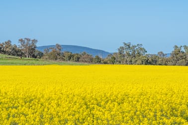 Canowindra NSW 2804 - Image 1