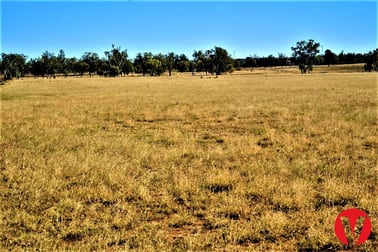 Lot 6 Warrego Highway Dulacca QLD 4425 - Image 2