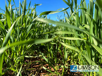 Lot 409/409 & 236 Lincoln Highway Tumby Bay SA 5605 - Image 2