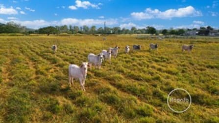 Click to view all images 41 Rush Road Biboohra QLD 4880 - Image 1