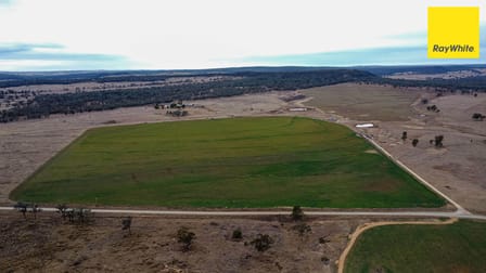 3133 Allan Cunningham Way Warialda NSW 2402 - Image 1