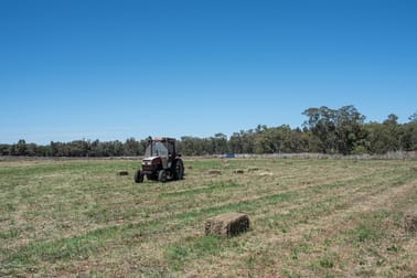 Geurie NSW 2818 - Image 3