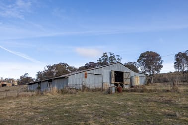 Lot 198 Pyramul Road Pyramul NSW 2850 - Image 1