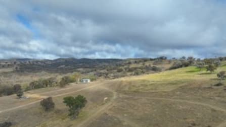 916 Campbells Creek Road Mudgee NSW 2850 - Image 3