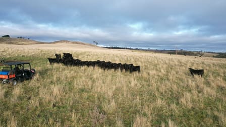 Black Springs NSW 2787 - Image 3