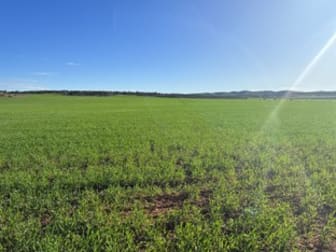 Click to view all images Lot 2 Maratta Road Cowell SA 5602 - Image 2