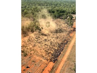 Dorisvale Station Claravale NT 0822 - Image 1